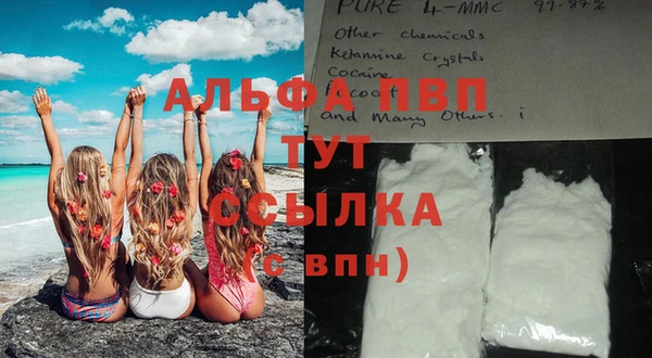 ECSTASY Приозерск